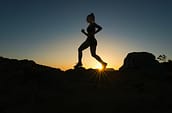 Quelle séance de cardio je dois faire ? Venti Views I1EWTM5mFEM Unsplash 1024x671